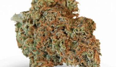 ACDC Strain