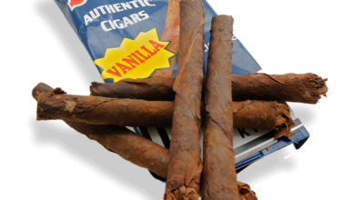 BACKWOODS