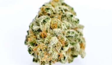 London Pound Cake Strain