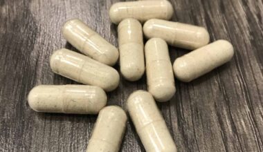 Microdosing Mushroom : Mellow