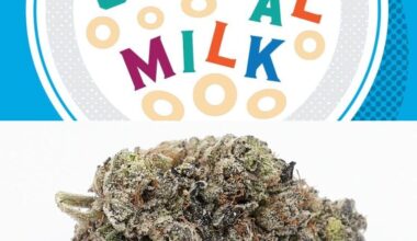 Cereal Milk Strain