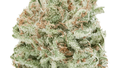 Cinex Strain
