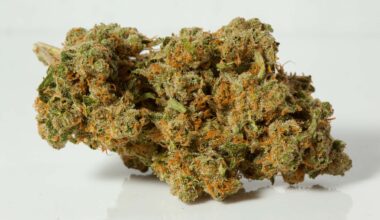 Durban Poison Strain