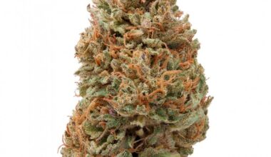 Delta 8 Hawaiian Haze Hemp Flower