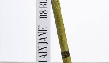Delta 8 King Palm Hemp Blunt 1.5g