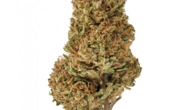 Delta 8 Sour Space Candy Hemp Flower