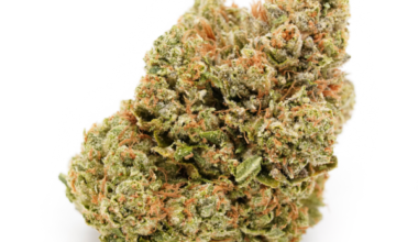 FACE OFF OG