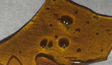 Girl Scout Cookies Shatter