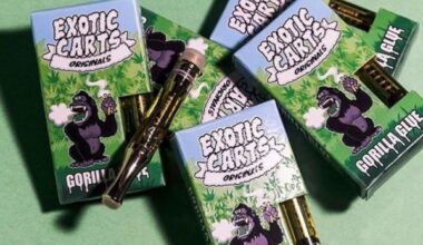 Gorilla Glue