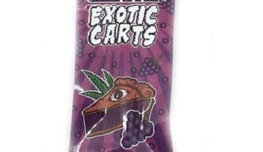 Grape Pie