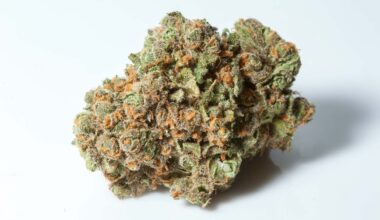 Green Crack Strain