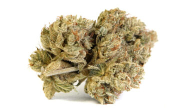 Wiz Khalifa Og