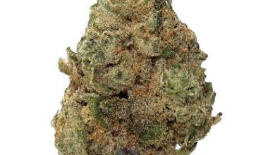 LA Kush Cake