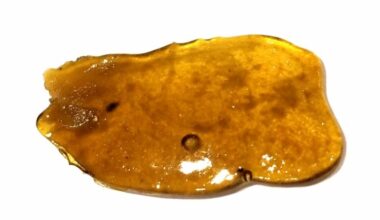 Master Kush Shatter