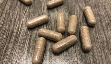 Microdosing Mushroon: Neuro (Lions Mane and Niacin)