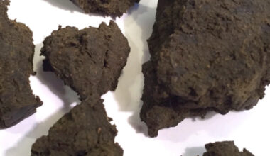 Scissor Hash