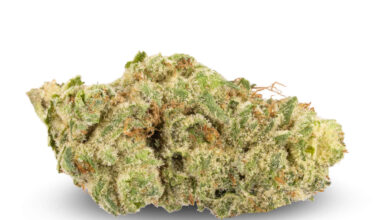 White Knuckles Strain