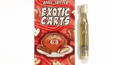 Apple Fritter