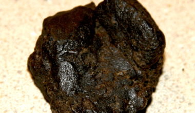 Bubble Hash