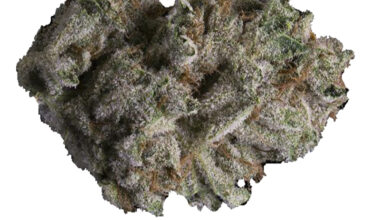 Facewreck Strain