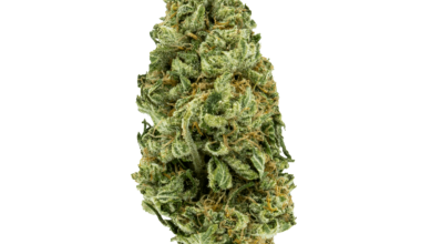 Incredible Hulk Strain