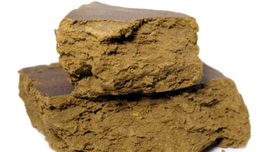Labanese Camel Hash (AAAA)