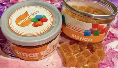Mango Smart Bites